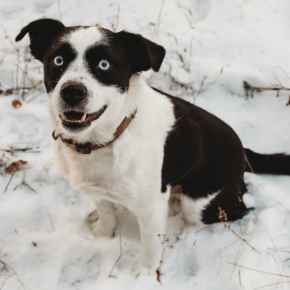 Picture for category Winter Products